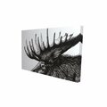 Begin Home Decor 20 x 30 in. Moose Plume-Print on Canvas 2080-2030-AN473